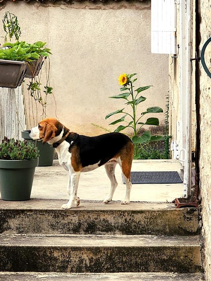 Gite Le Bonheur Hiersac Exterior photo